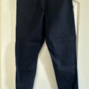 Banana Republic Dark Navy Chinos